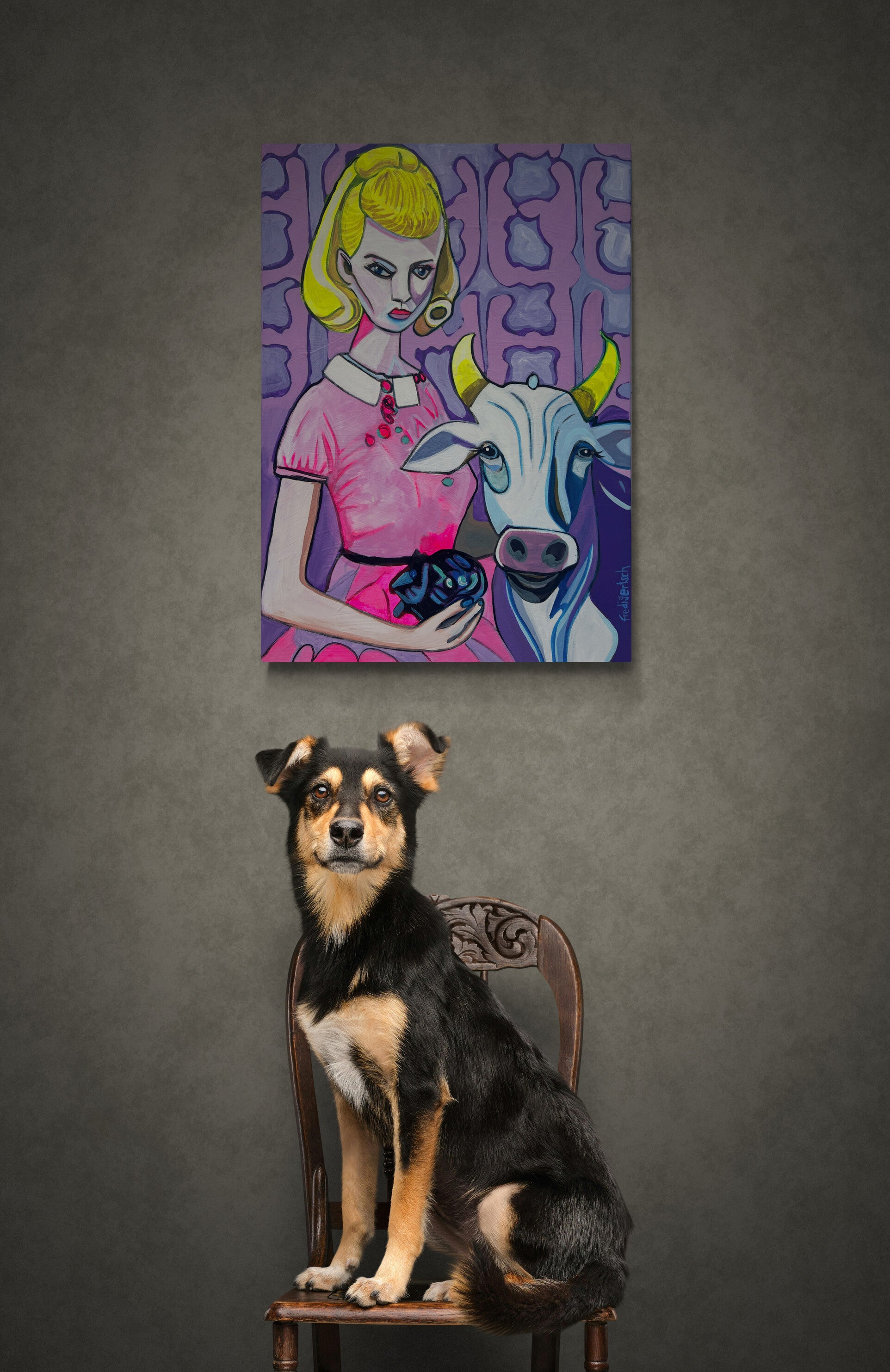 dog-sitting-on-a-wooden-chair.jpg